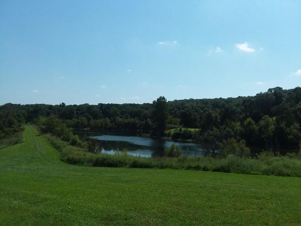 23980 Shadow Lake Dr, Wheatland, MO 65779